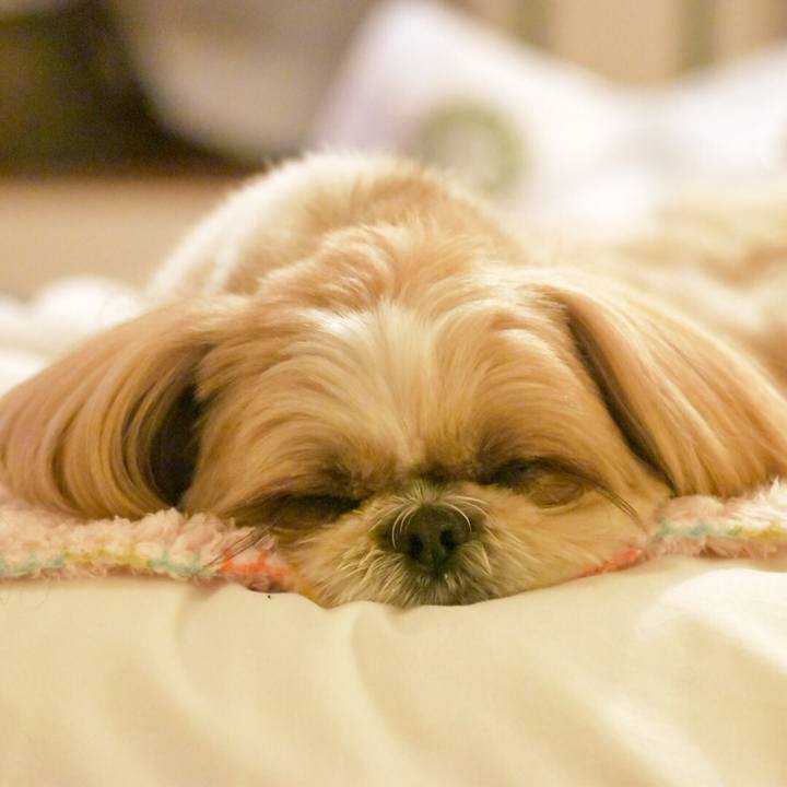 1d3572ee 4ac9 42e4 8308 01e43f23228d 1508532883209