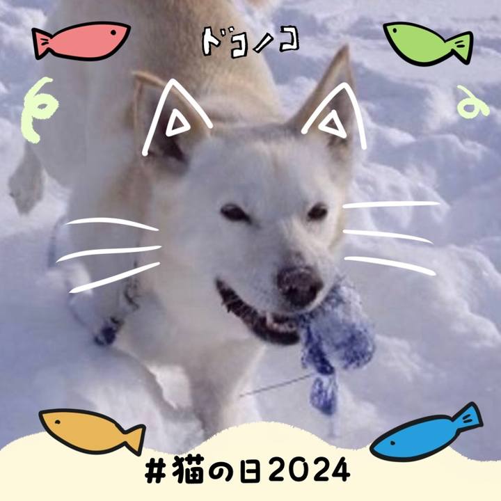 1d359ef9 caea 467b 8971 0cc2f3c852eb 1708594488011