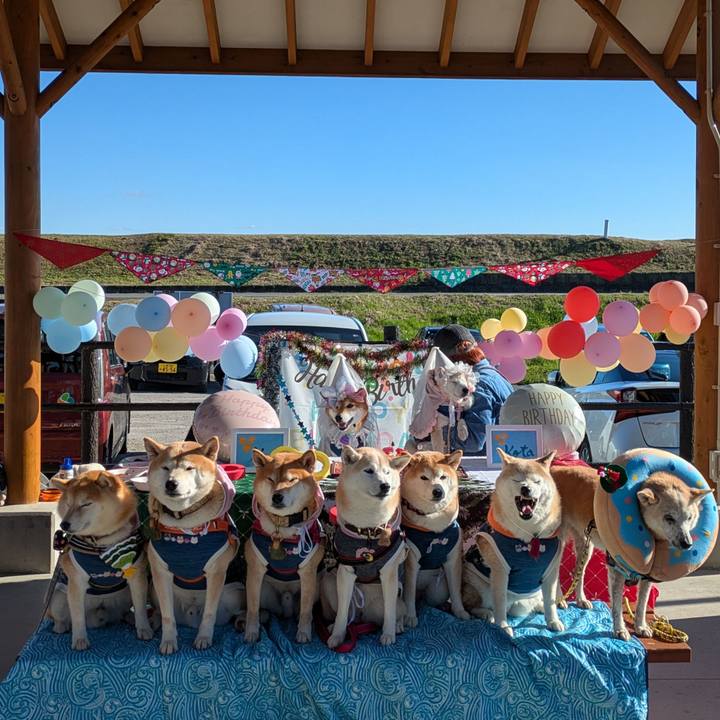 1d35a246 049f 452c 97c5 86124b882319 1732539273285