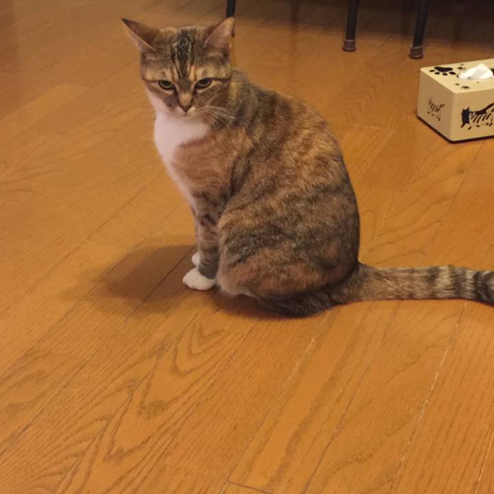 1d35b451 79b9 402d 9ff2 c4da77d0d734 1549206622390