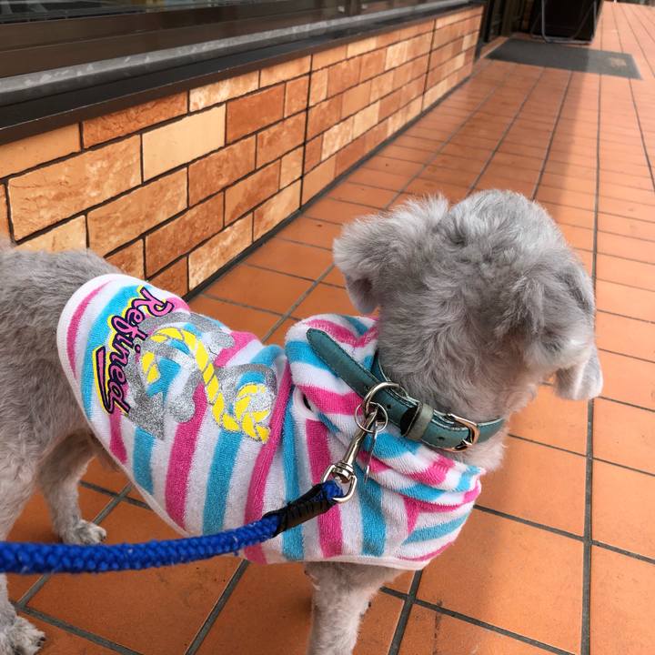 1d35e0de a035 4602 a3e1 1edf8ff7dc3c 1588567382432