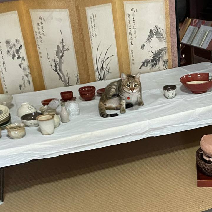 1d360231 5756 4e9c 8d39 bd5b8343a4ef 1682483395350