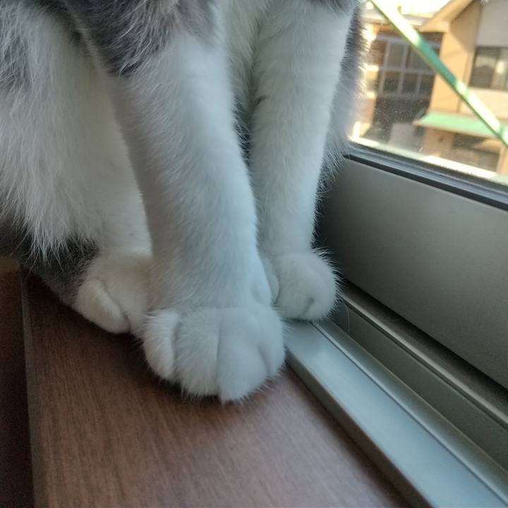 1d364078 5ad2 41c3 b4dc 162061d3b21e 1615674548229