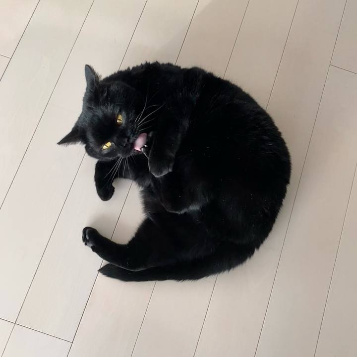 1d364748 e897 45ed 880f 31605f679113 1713487092965