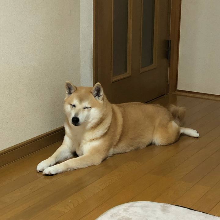 1d366201 6e79 443a b695 084d7dd34ab9 1587715188994