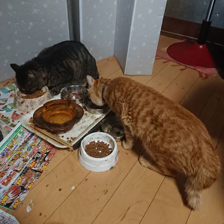 1d36c5b8 55cf 4b07 8d88 9db73396156f 1649143611410