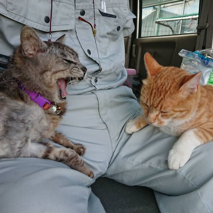 1d370d10 7f79 4b24 8004 b9ae23dbc7d2 1593682476420