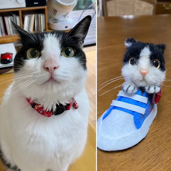 1d370fae 2e1f 4818 beb3 14443529da44 1689986235829