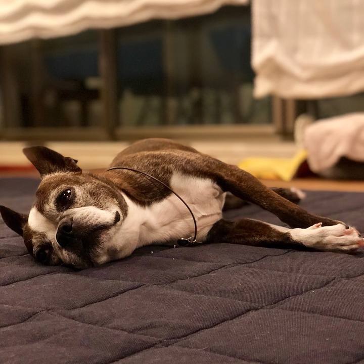 1d37172f 31a9 488d 866e 61322be19546 1533470278873