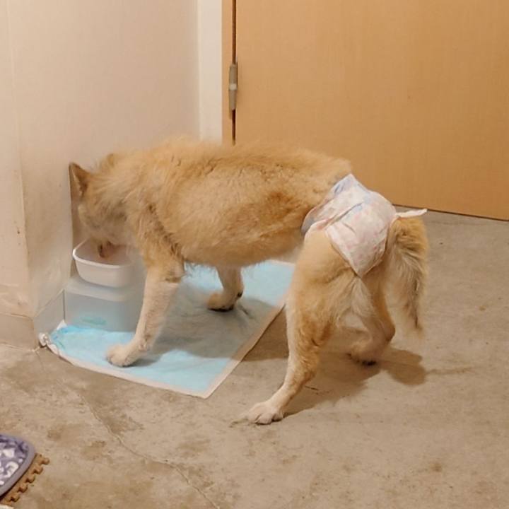 1d3747b5 4f31 466f abca 8b018abad934 1637926906024