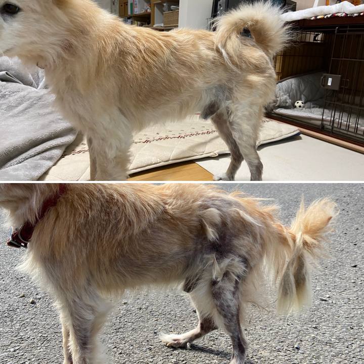 1d3788a6 2d28 424b 9a1d c7c76d3bc404 1649138476237