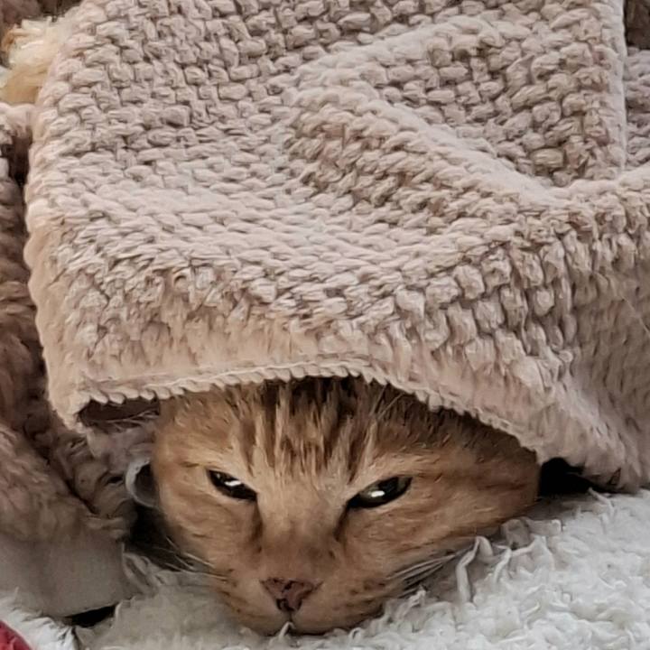 1d37939b f670 4519 95d1 b971a3058721 1739931269431