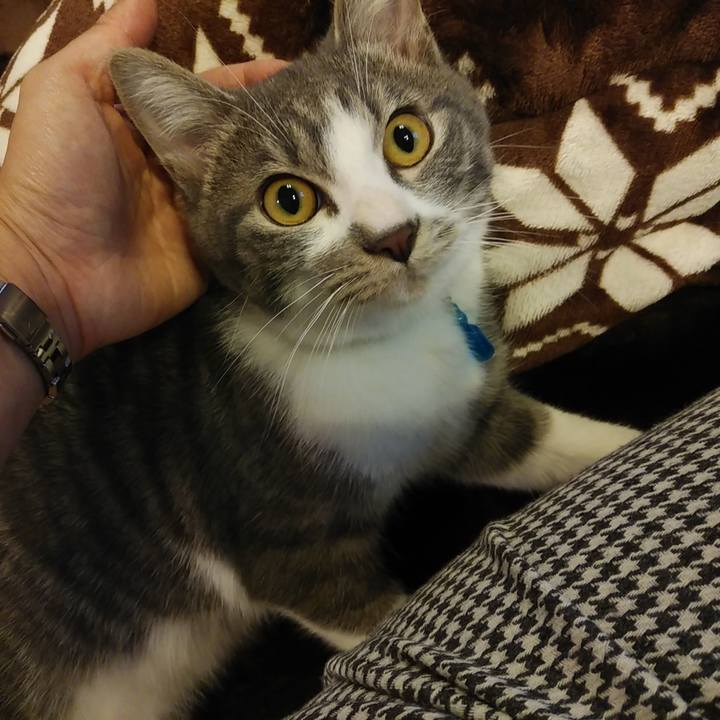 1d37aed8 dba2 4f2a b02f 765ad70e4002 1573197566219