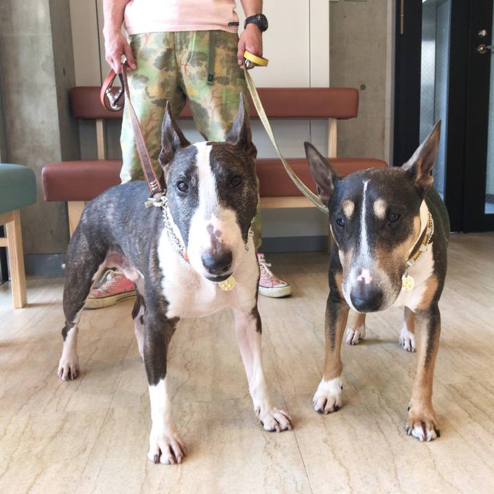 1d37b16a efc4 425b b5e7 4b6e65a4f9eb 1526470462201