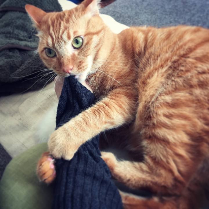 1d37f832 40e4 4895 b0c1 3ad71459123c 1549879157724