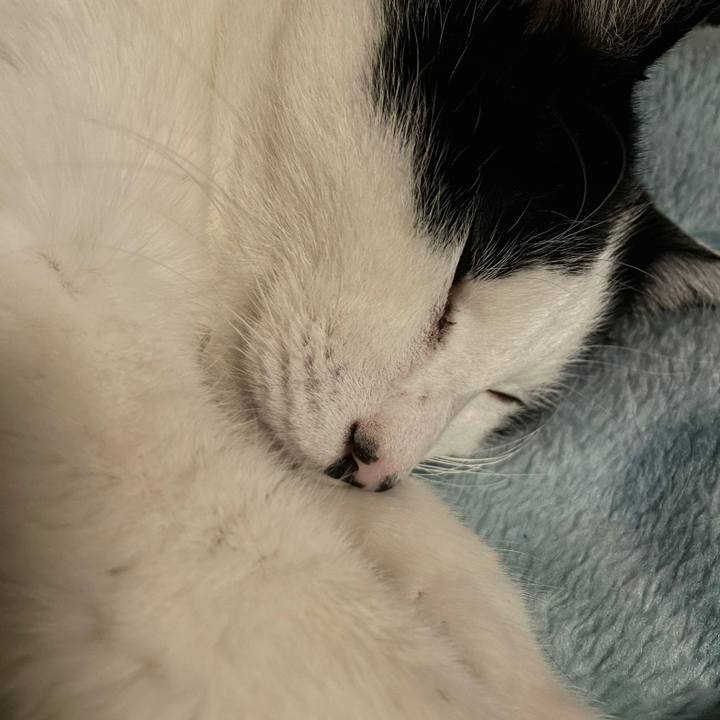 1d389d9c d524 45ef badf 78e99f53f3ba 1639410416258