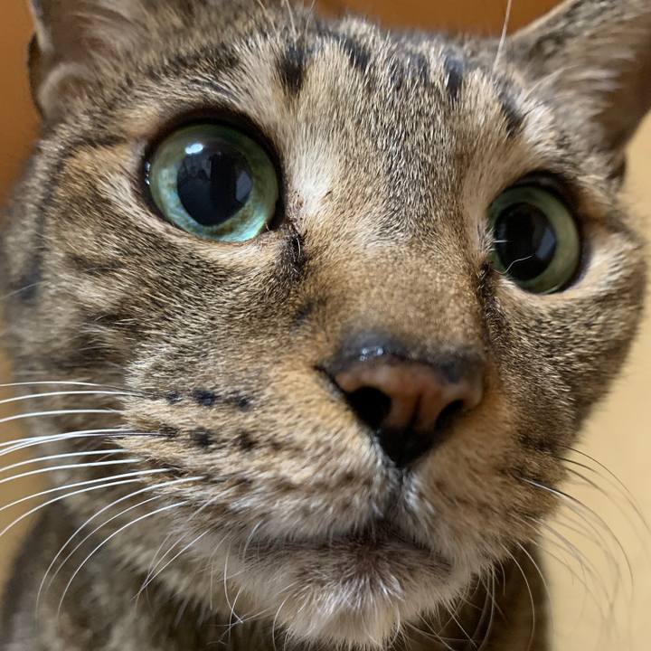 1d38ac1a 7dea 46fc a85d 65df4ccd47b8 1545268448010