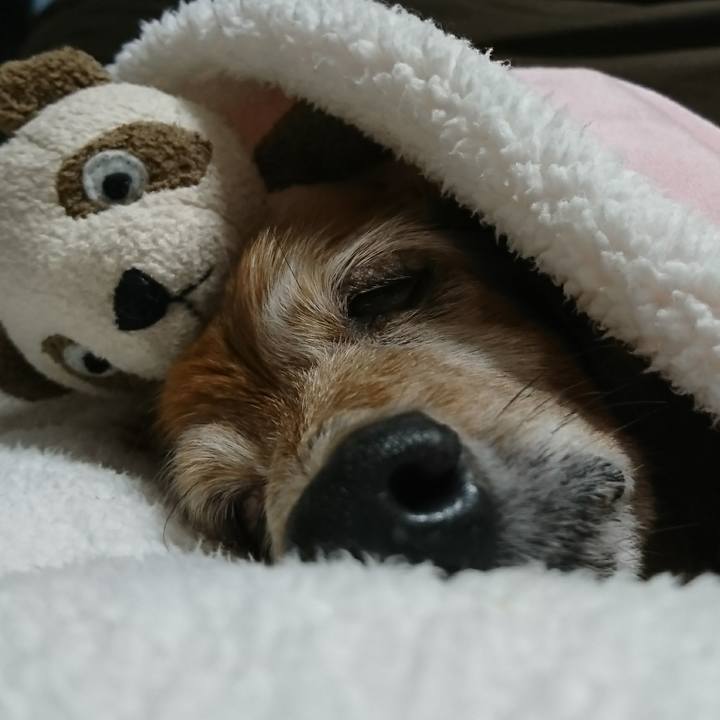 1d38b0ec d957 40d9 ad41 b565c9416b58 1508300123246