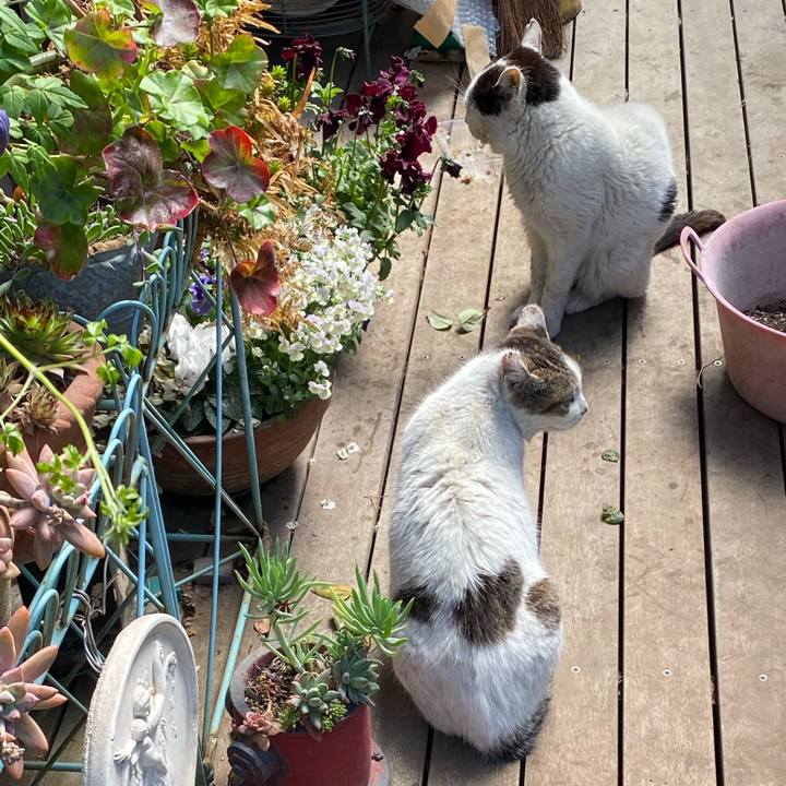 1d38bf1e 423c 4ad2 b0a2 8af365965f29 1744376264771