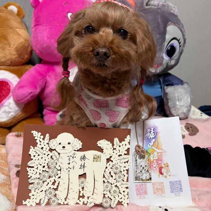 1d38d870 79ea 4dc3 94ee 45d0edb46b1b 1768221883226