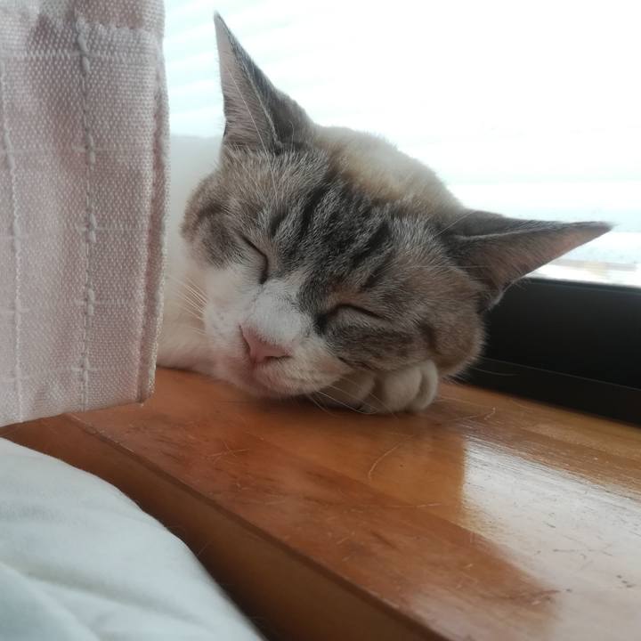 1d38e67f bfc7 420a 8363 bbc2cd2edbdd 1535408351093