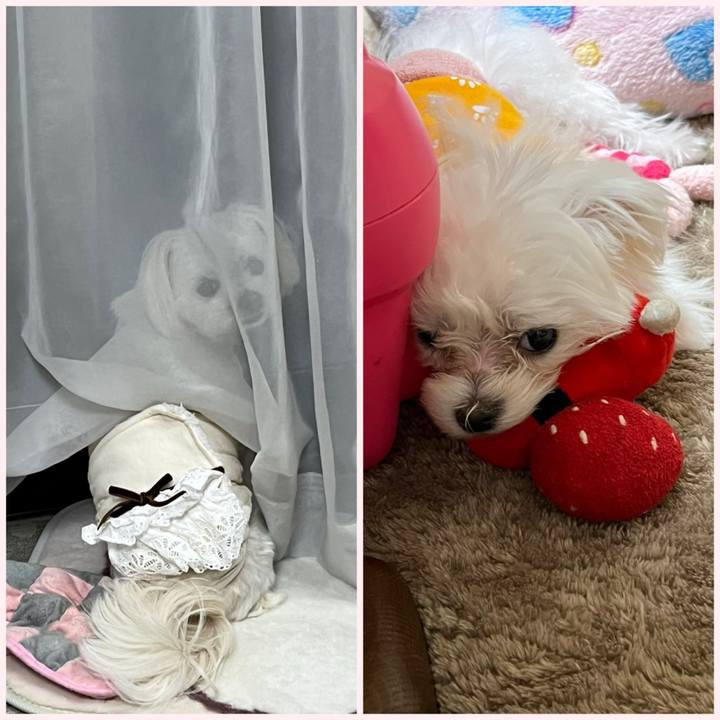 1d38f7bb 5382 4a4f bc2f a7a88615319c 1705576281500