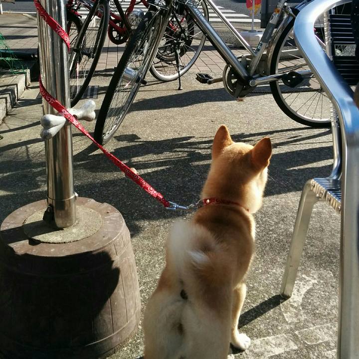 1d39078e cda6 4493 9dd8 30a6f0e1f7fc 1511674232926