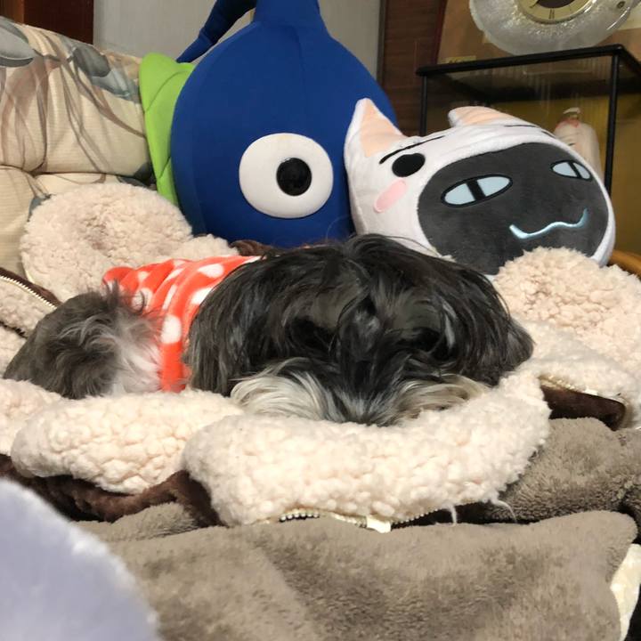 1d3919ff f917 434a 849b 9e01a54859ab 1514714343320