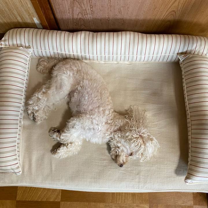 1d3940be 802e 4e05 ab5a b0176263cf92 1623814669740