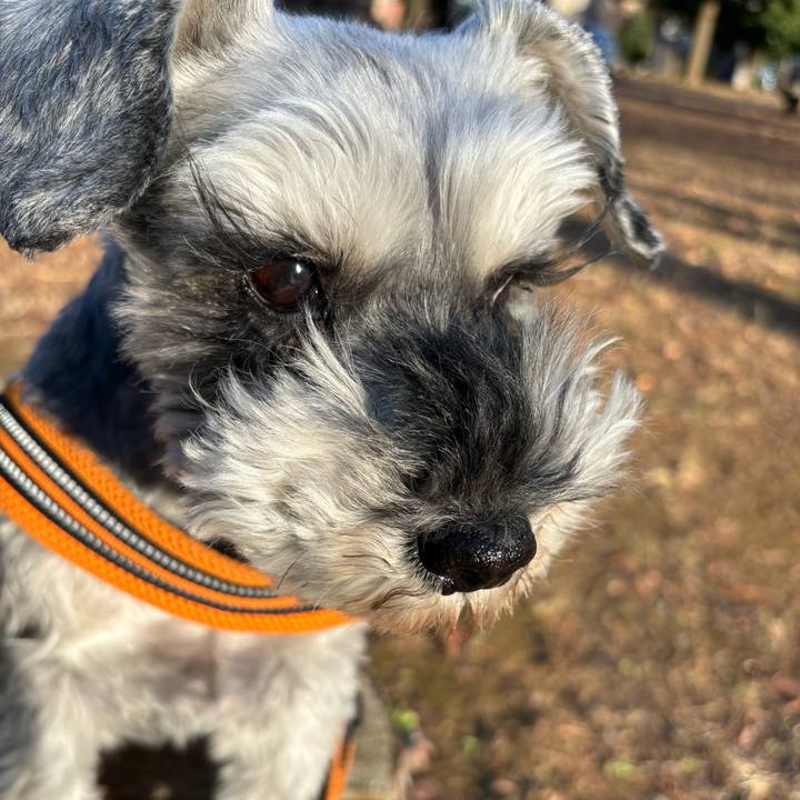 1d39929c b31b 4567 bca4 7f817bcaea89 1703659609792