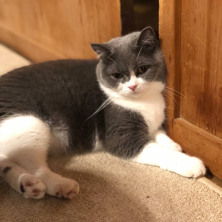 1d399ecb 135a 4a80 bf90 1daba5c386ab 1564880737923