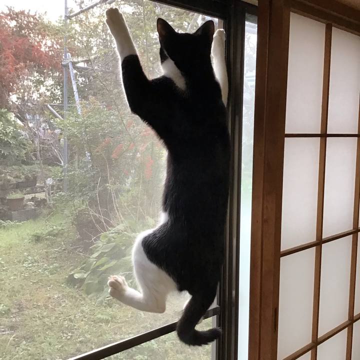 1d39c1da a61d 4d64 bbb3 093e372f8622 1635904280891