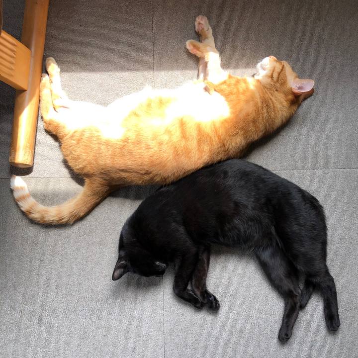 1d39fbef 026b 4c07 822c 543b09ea27d0 1688260773147