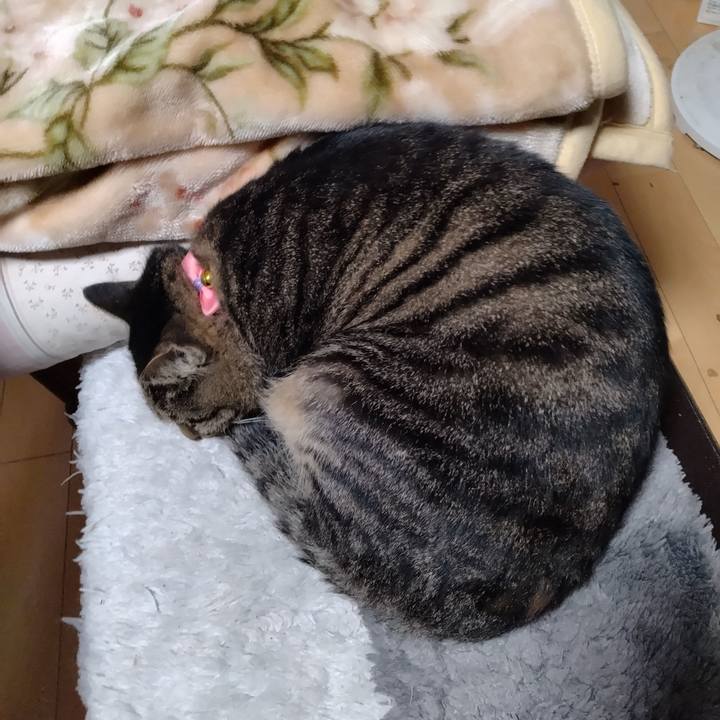 1d3a1a5d e4f1 47d2 80c3 4c66fdba4130 1666392217948