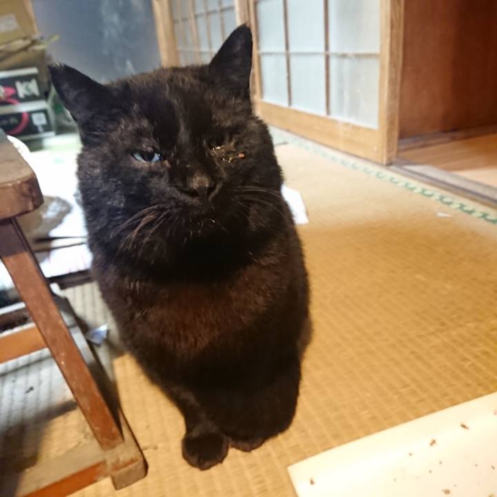 1d3a1b79 0057 4d87 ba0d c719deb7f47d 1616842528809