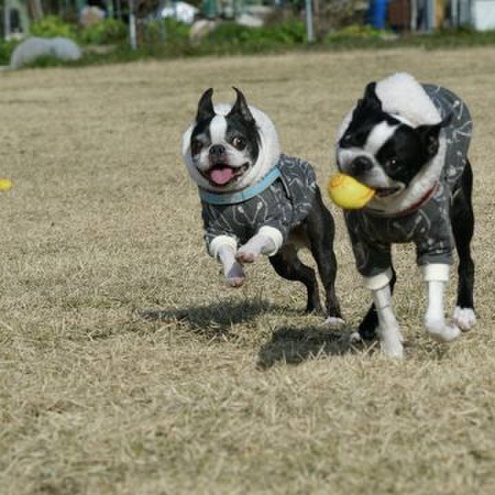 1d3a2758 ecbe 4764 9817 49a6ca080da2 1580637154358