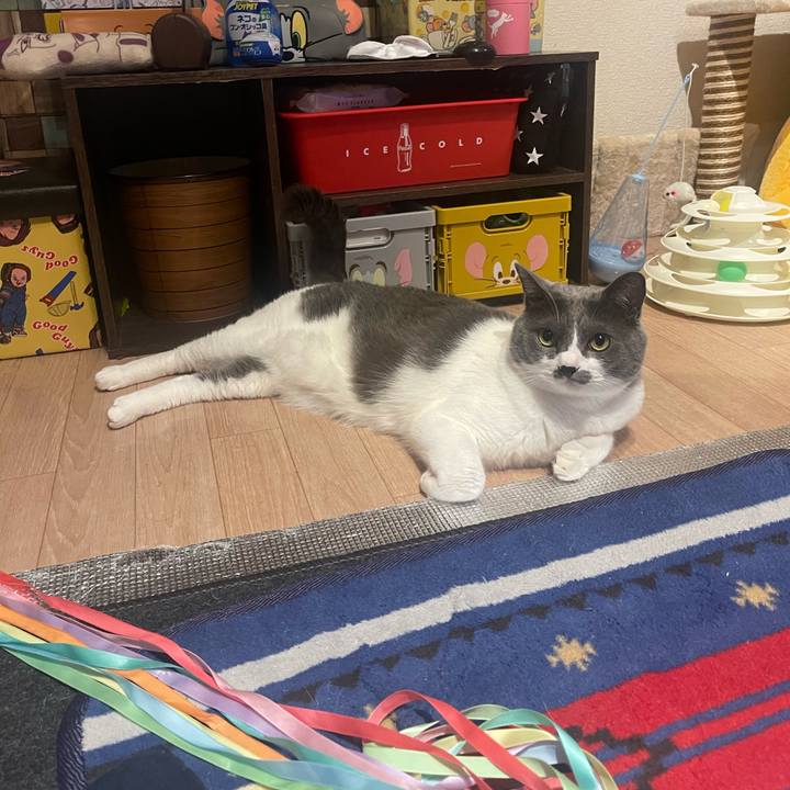 1d3a318e 4d72 491c afe3 9e880257fa44 1685979961259