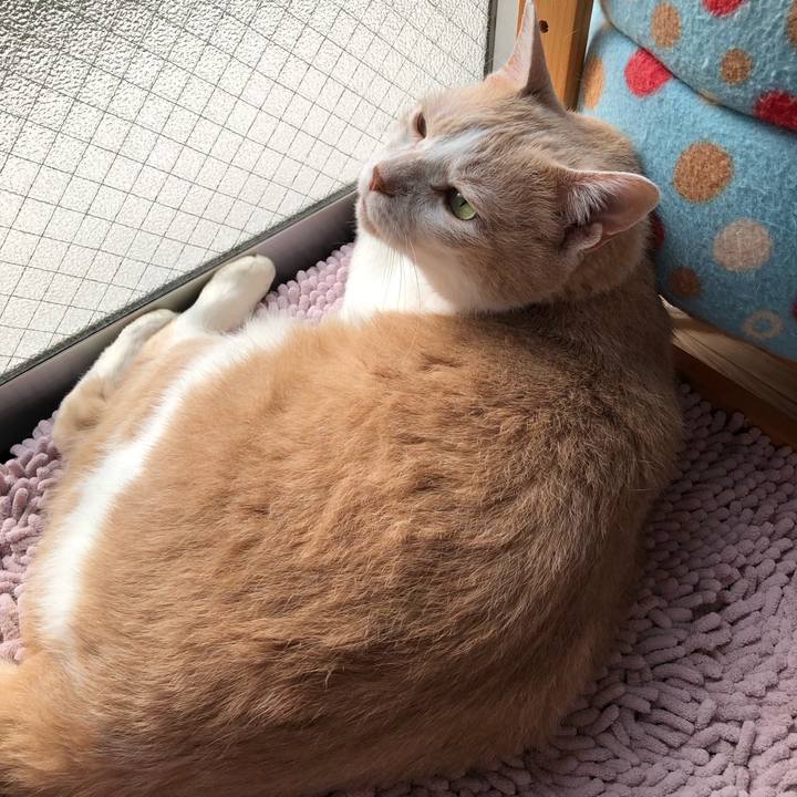 1d3a43a8 5ec9 4cc1 be2f 3c214e852a65 1625008716504