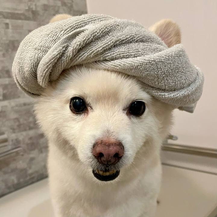 1d3a75f3 6c31 4c75 8aa9 c8669c48b216 1758320797718