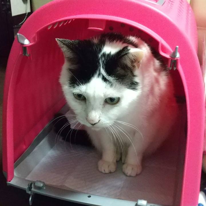 1d3a82ba d8c6 4189 b6f0 29f5cff68ed0 1686137759190