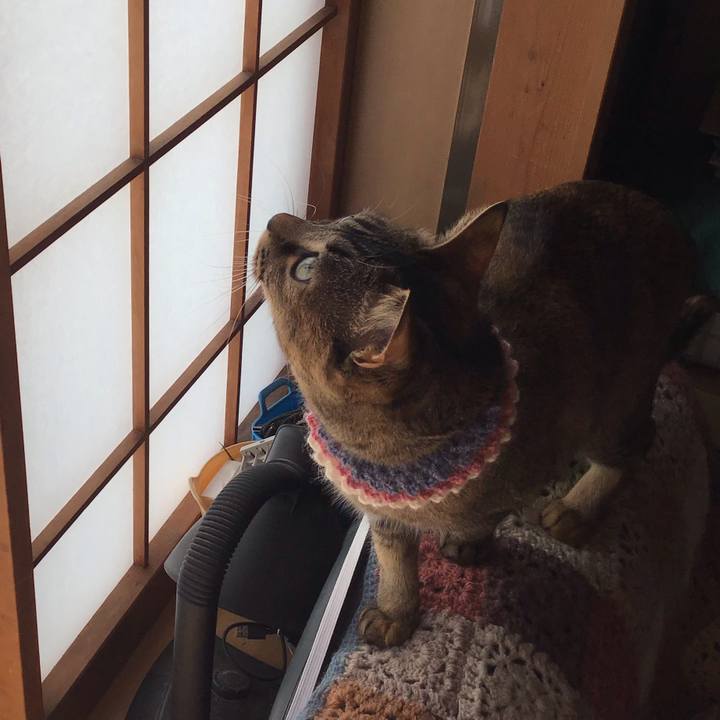 1d3a8811 5d74 4149 aa0f 6580fd488a4c 1617669268337