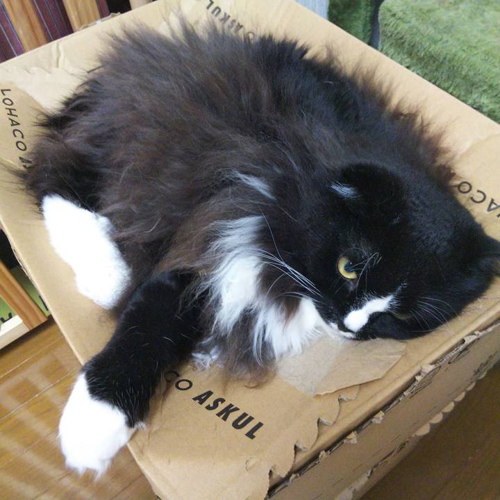 1d3a96ce 5a24 4eef 9d02 d45c4dc6646b 1664712796336