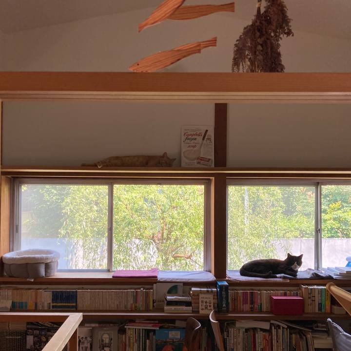 1d3ab652 0bac 467b b488 bffb2d4e0eb9 1623423138121