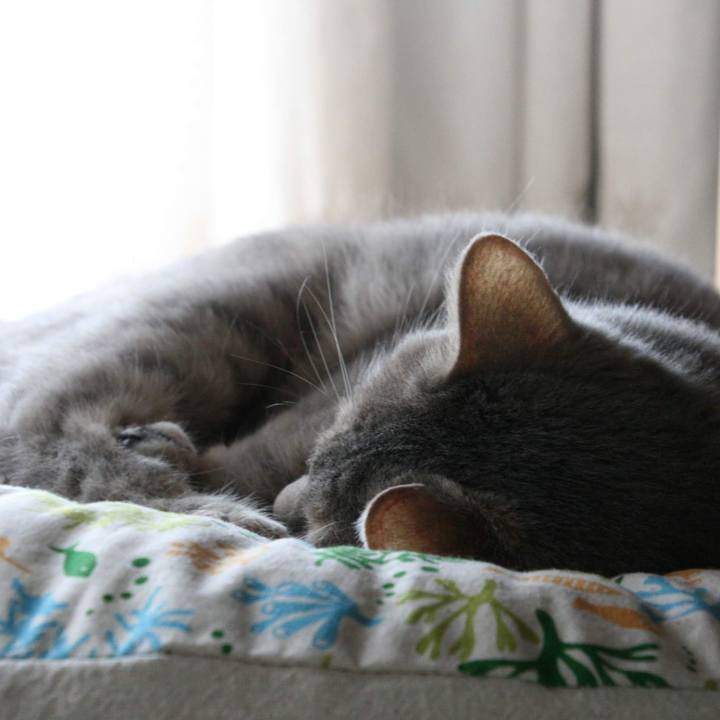 1d3abbf1 8336 4320 ae14 7c0966e3c3ca 1560586910896