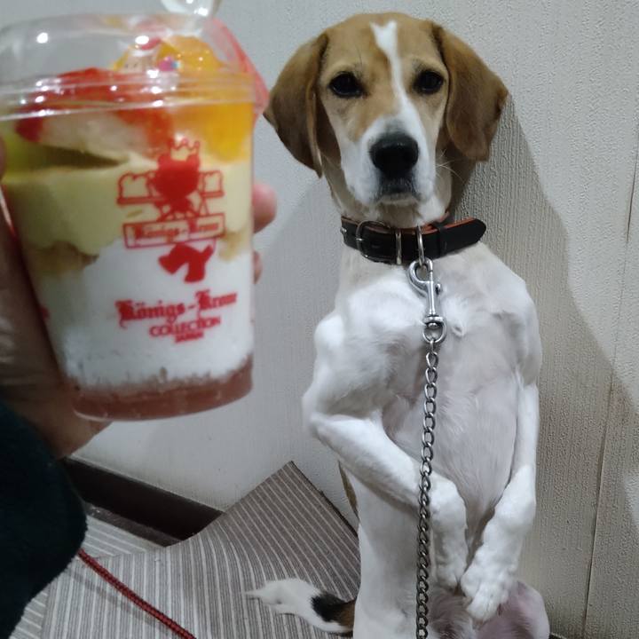 1d3aec96 0477 4e45 8a84 81cae5ee6625 1640496285720