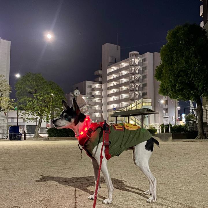 1d3afa6c 1e3b 438b 97ae 4e1f770a8c3a 1619475722236