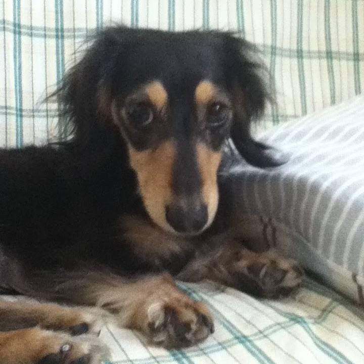 1d3afe5b 0ee5 470f 93ea bfa3e748a9de 1620656078258