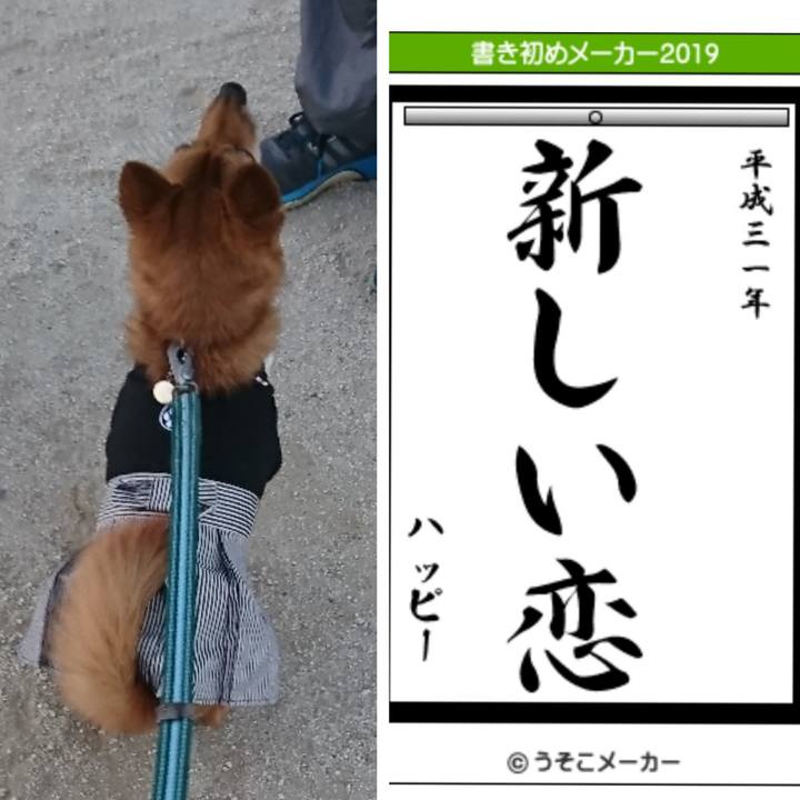 1d3affba 2e2a 4f03 a56b 5a5e37a5eb89 1546485357748