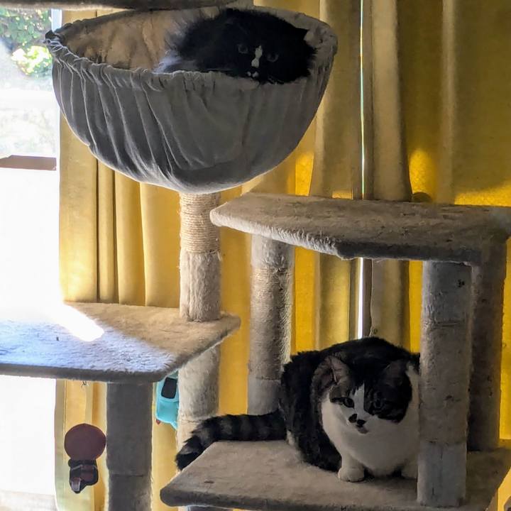 1d3b0b66 67a9 435c 908a 8608253460d9 1728780287993