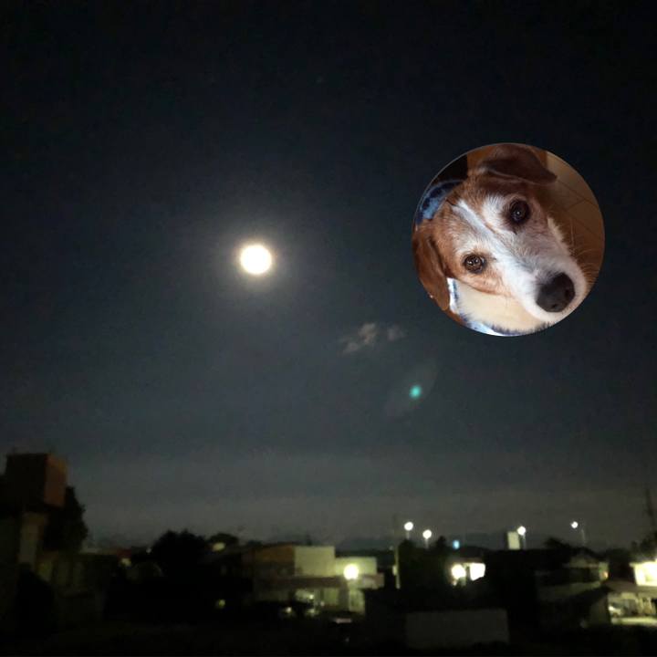 1d3b449b 38e4 4103 91bb 4879643be0a2 1568374274717